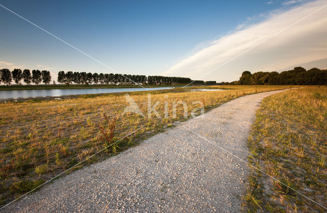 Polder de Biesbosch