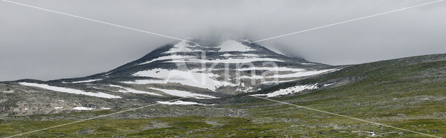 Saltfjellet