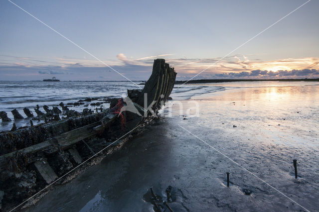 Westerschelde