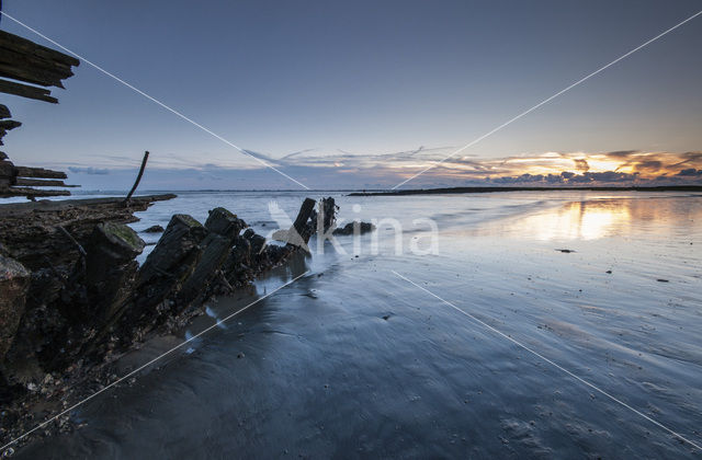 Westerschelde