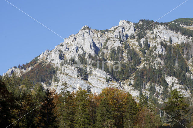 Wildnisgebiet Dürrenstein