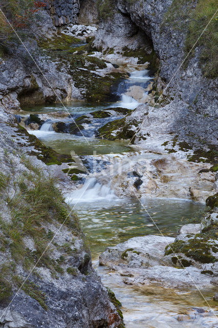 Wildnisgebiet Dürrenstein