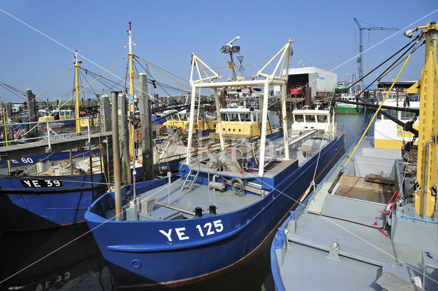 Yerseke fisheryharbour
