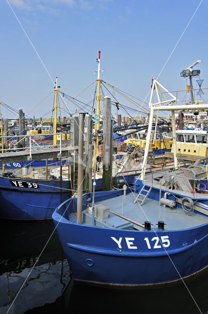 Yerseke fisheryharbour