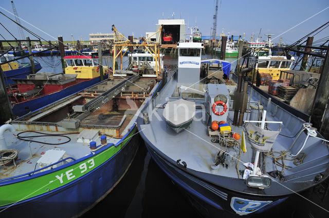 Yerseke fisheryharbour