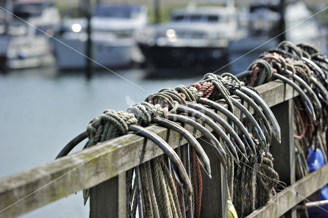 Yerseke fisheryharbour