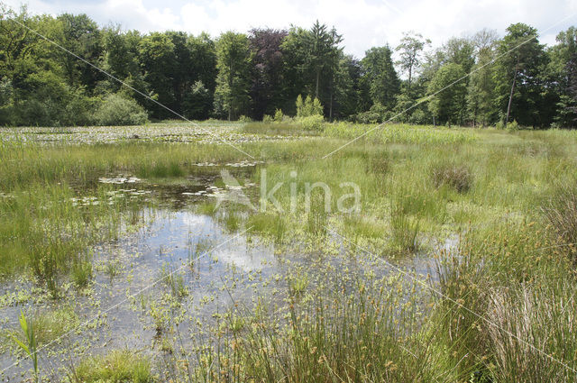 Boswachterij Leende