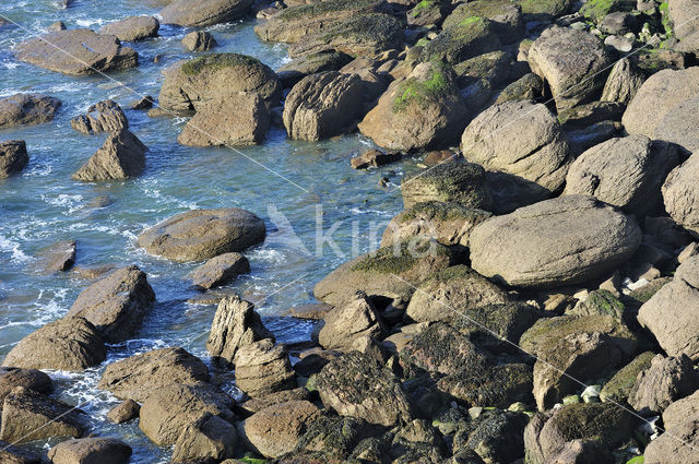 Cap Gris-Nez