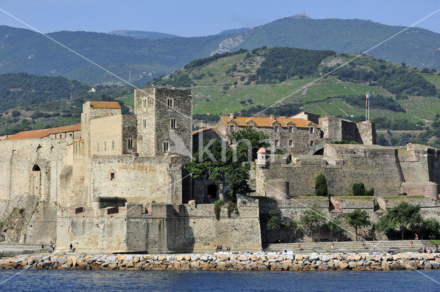 Château Royal de Collioure