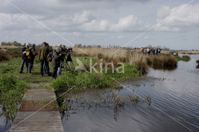 De Groene Jonker