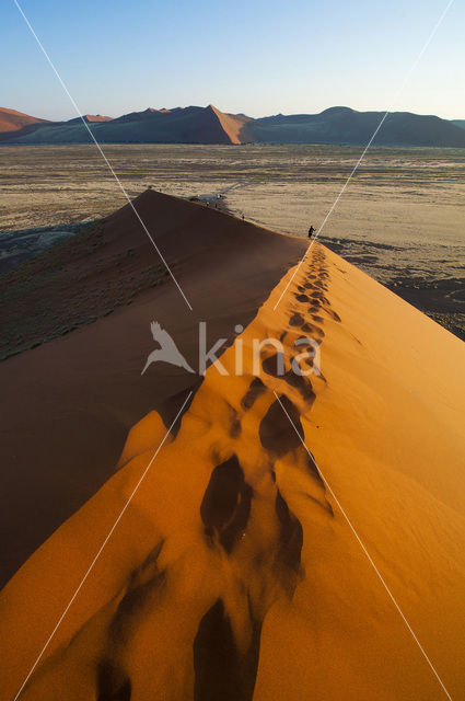 Namib naukluft national park