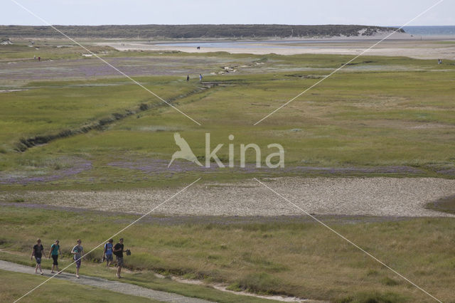 Nationaal Park Duinen van Texel