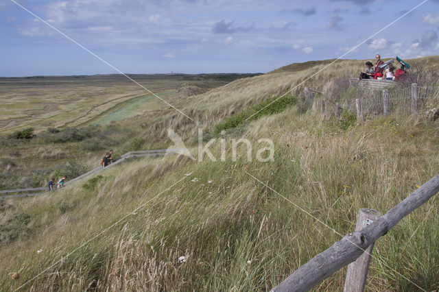 Nationaal Park Duinen van Texel