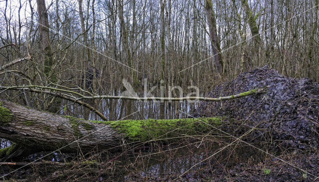 Nationaal Park Lauwersmeer