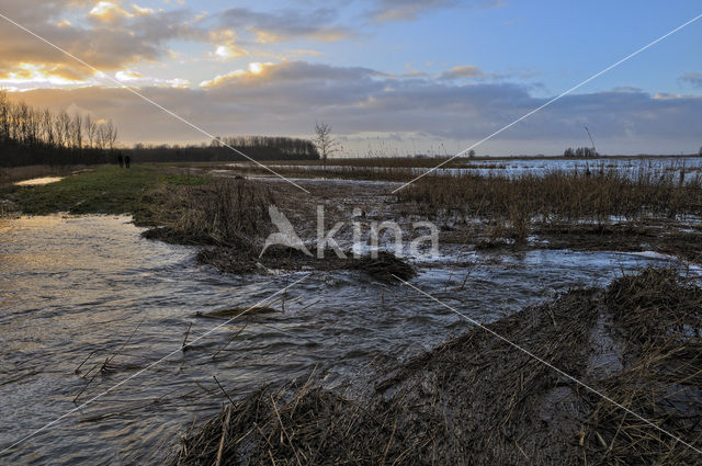 Nationaal Park Lauwersmeer