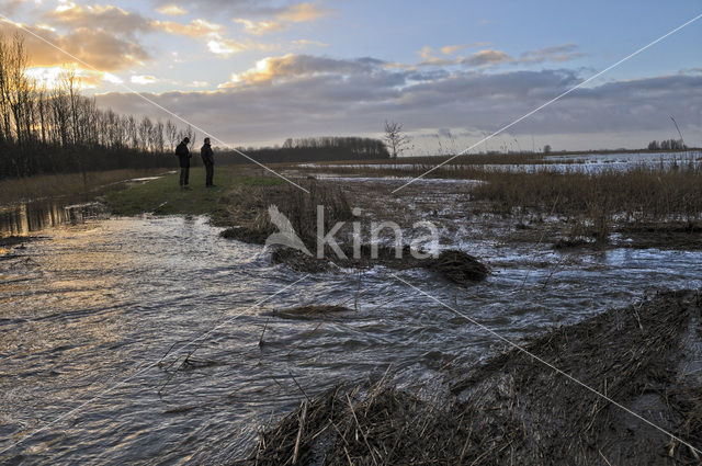 National Park Lauwersmeer