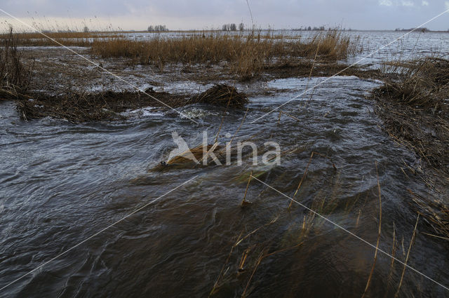 National Park Lauwersmeer