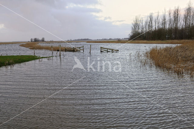 National Park Lauwersmeer