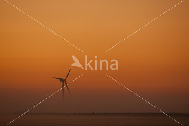 National Park Lauwersmeer