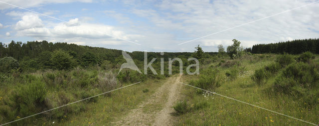 Eifel National park