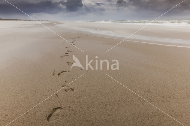 Noordzee