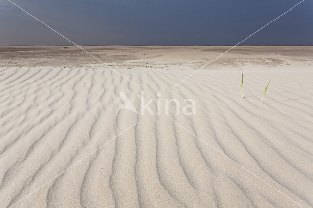 Northsea beach