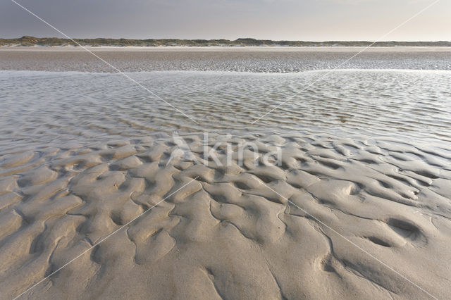 Noordzee