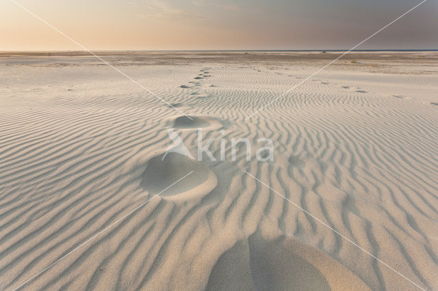 Noordzee