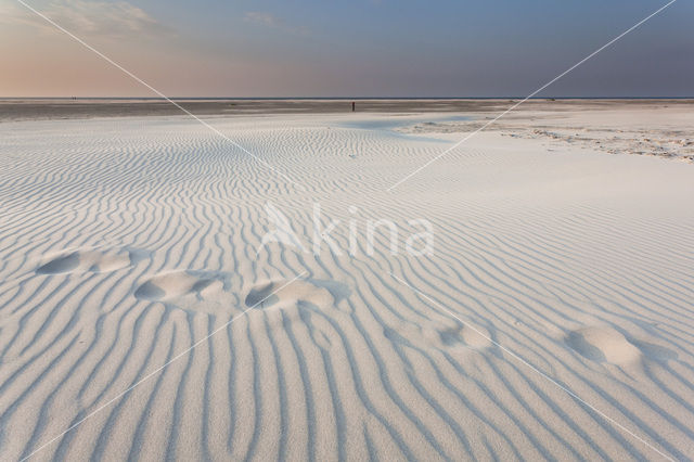 Noordzee