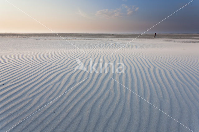 Noordzee