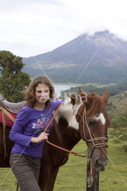 Horse (Equus spp)