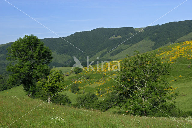 Parc naturel régional des Volcans d'Auvergne