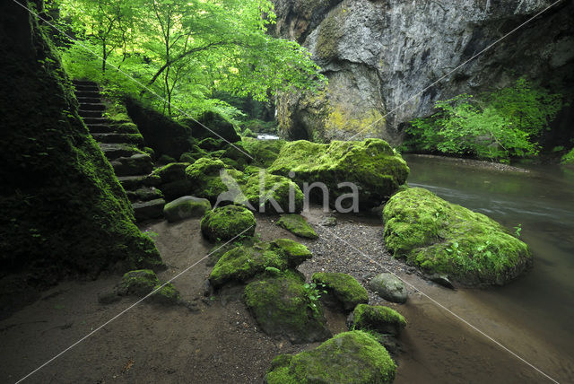 Parc naturel régional des Volcans d'Auvergne