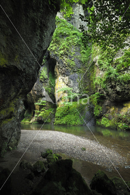 Parc naturel régional des Volcans d'Auvergne