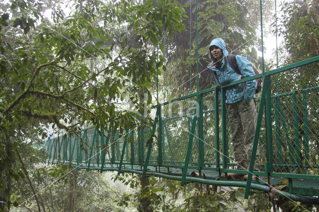 Parque Nacional Monteverde