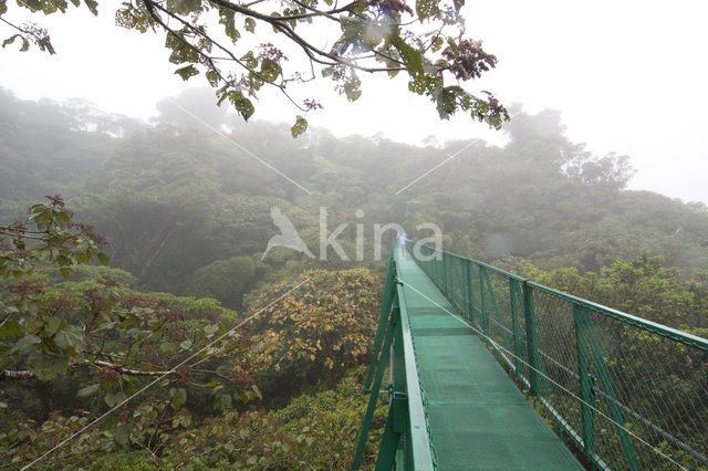 Parque Nacional Monteverde