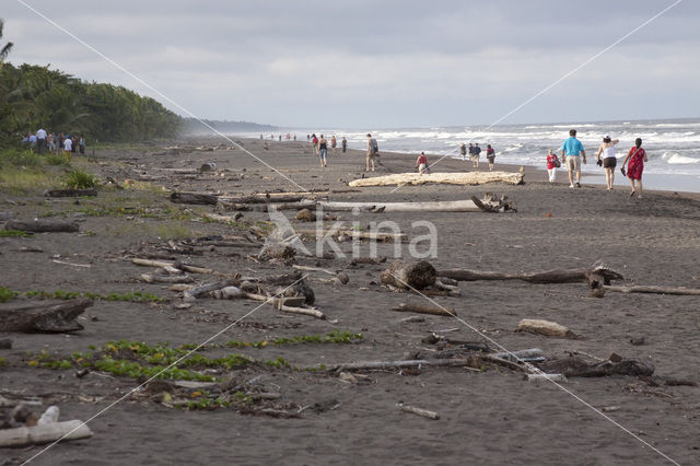 Parque nacional Tortuguero