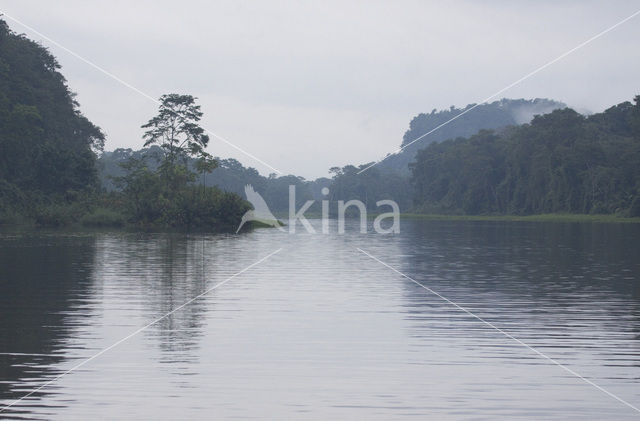 Parque nacional Tortuguero