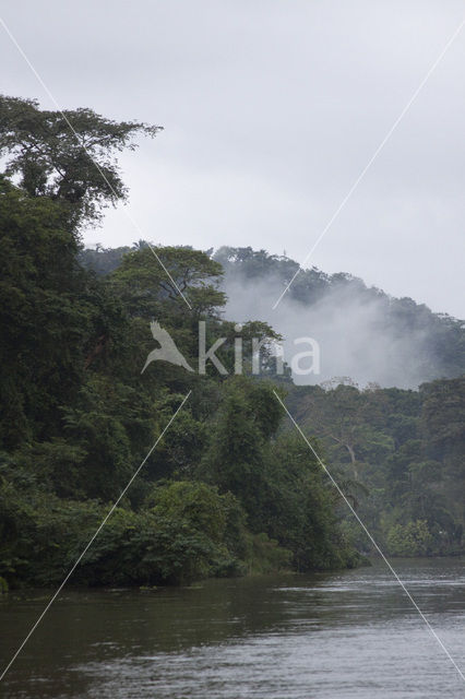 Parque nacional Tortuguero