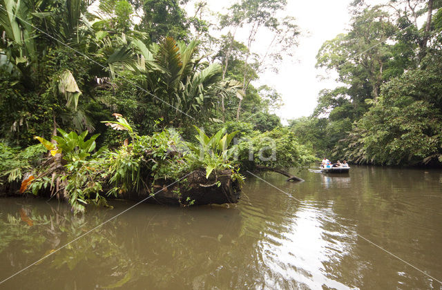 Parque nacional Tortuguero