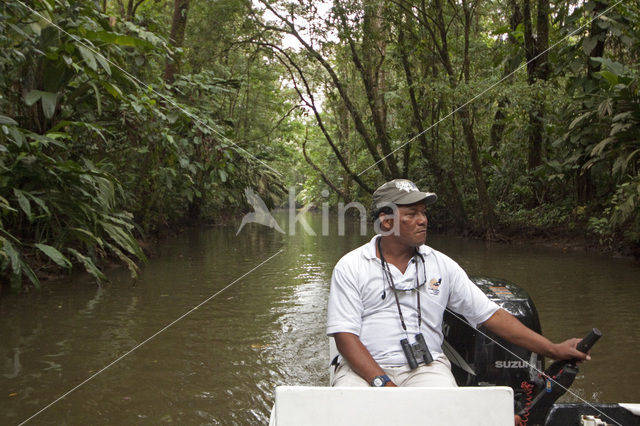 Parque nacional Tortuguero