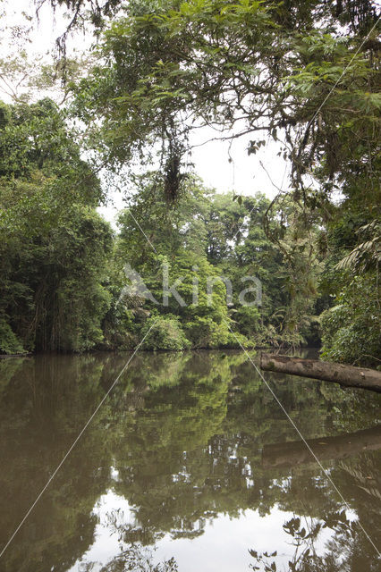 Parque nacional Tortuguero