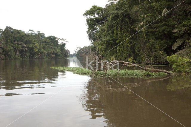 Parque nacional Tortuguero