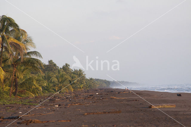 Parque nacional Tortuguero