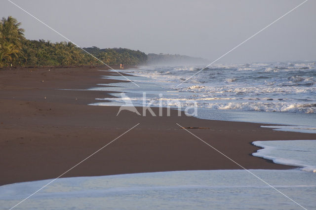 Parque nacional Tortuguero