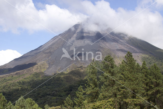 Parque Nacional Volcán Arenal