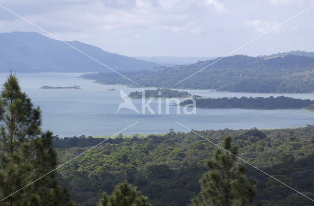 Parque Nacional Volcán Arenal