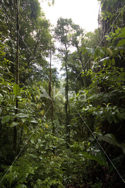 Parque Nacional Volcán Arenal