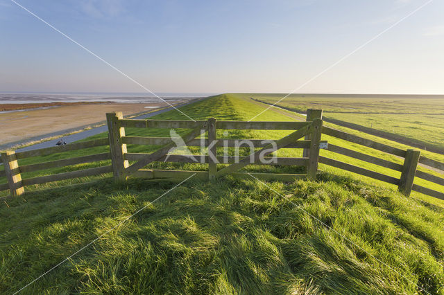 Terschelling