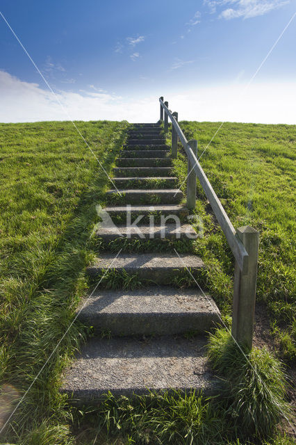 Terschelling